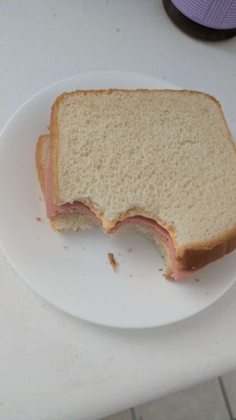 File:Sandwich lav.jpg