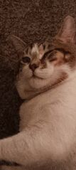Goob looking harshly.