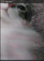 Thumbnail for version as of 07:33, 24 July 2024