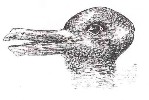 File:Duckrabbit.webp