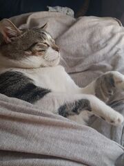 Goob rests.
