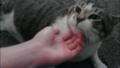 Thumbnail for version as of 07:33, 24 July 2024