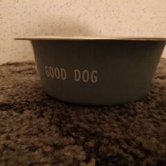 Goob's water bowl, "Good Dog"