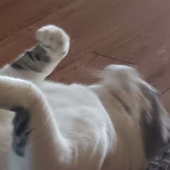 He Can not be stopped