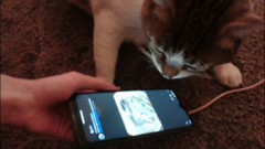 Goob inspecting an offering from Sus1d1p.